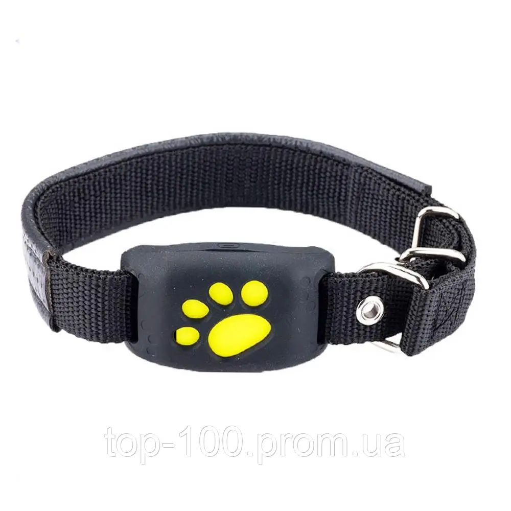 5086650163_w640_h640_podarok-gps-treker-z8